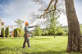 Best Lawn Pest Prevention  in Parkersburg, WV